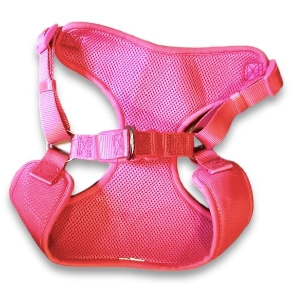 Small Dog Harness and Cheer Costume - Picture 7 of 8